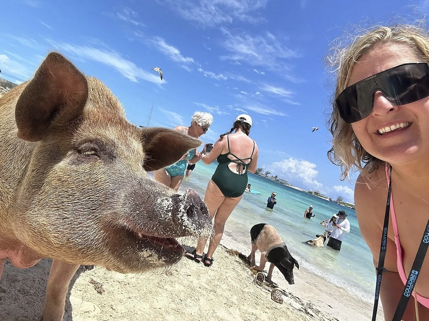 Pig and a woman