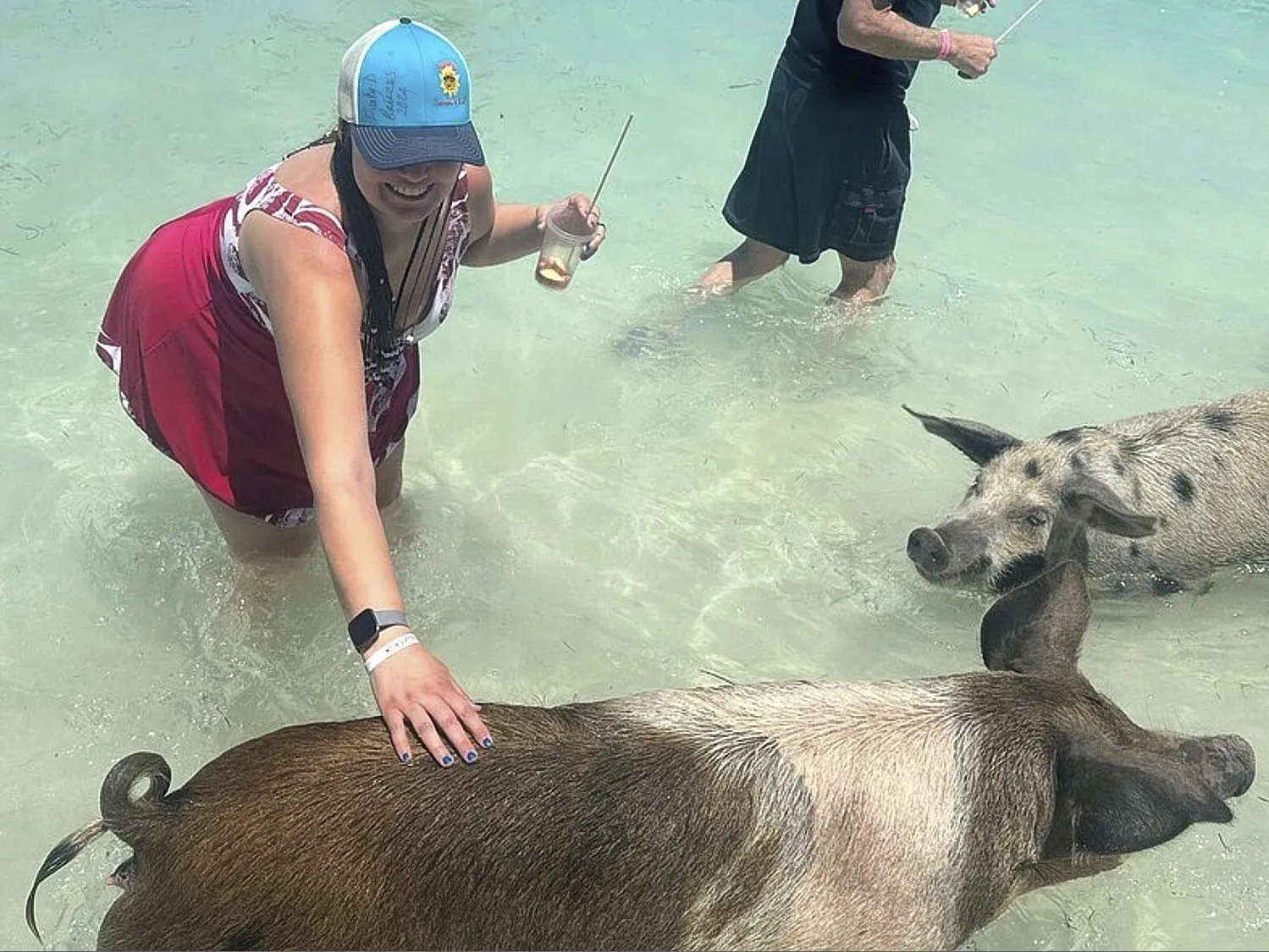 Woman touching a pig