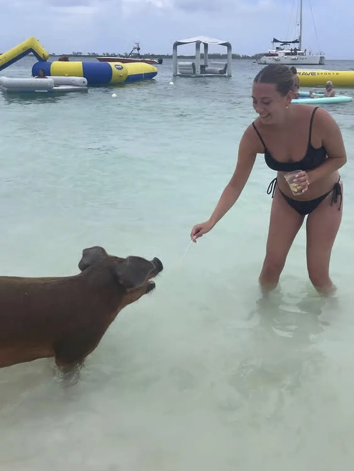 Woman feeding a pig