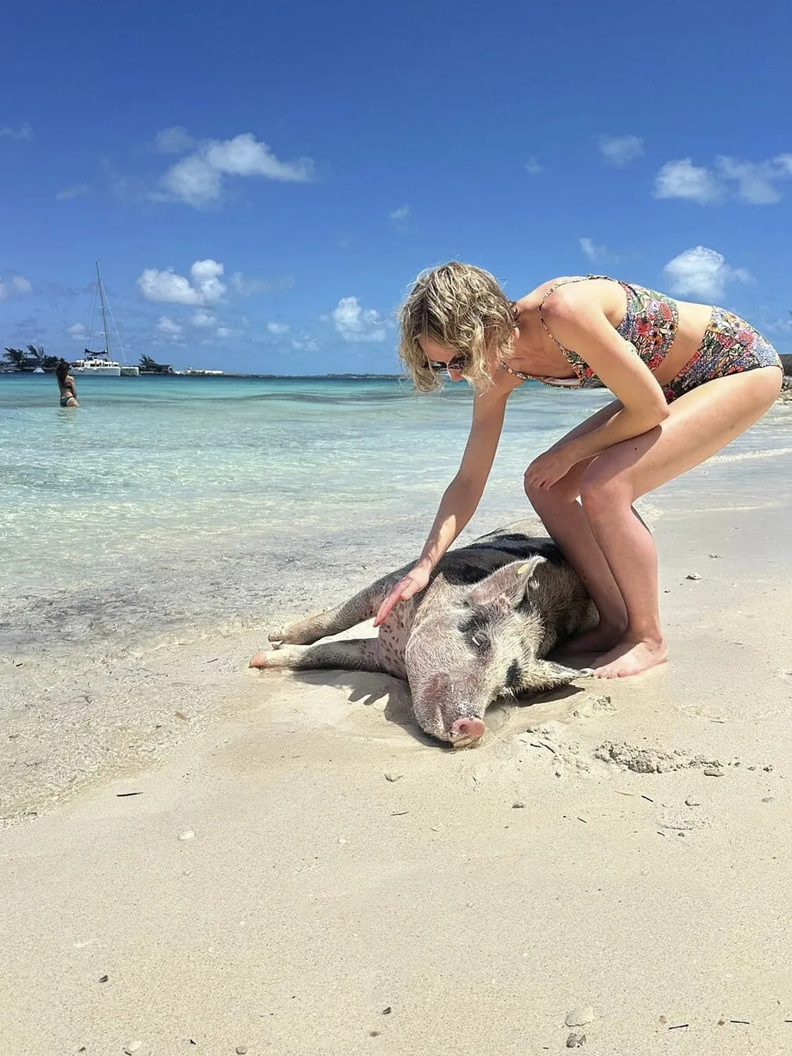 Woman touching pig on the sand